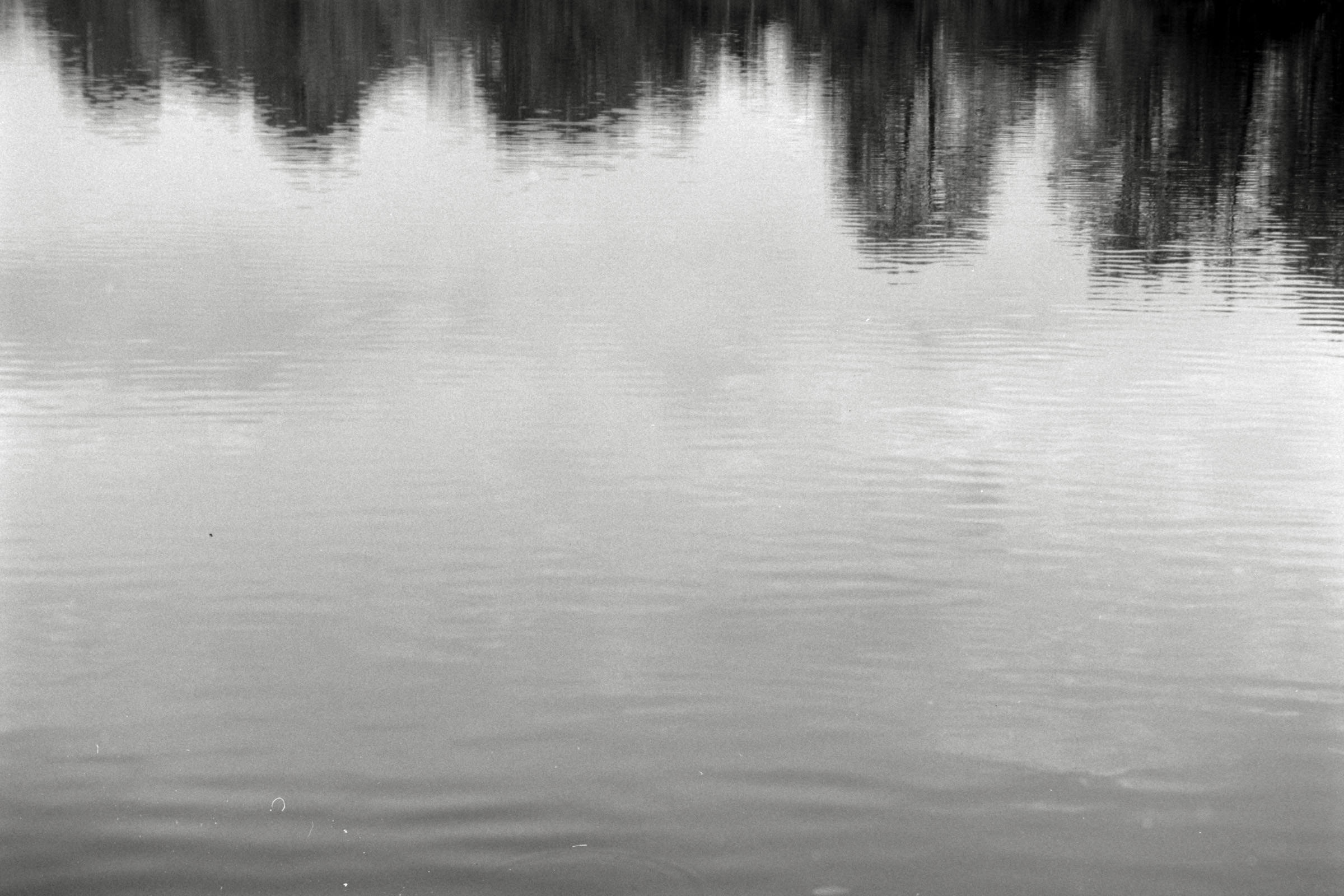 AHP F1990 09 005 sc250506 img16 NLP